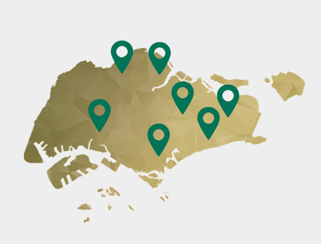 A geometric-style map of Singapore with six green map location pins spread across different regions of the island.